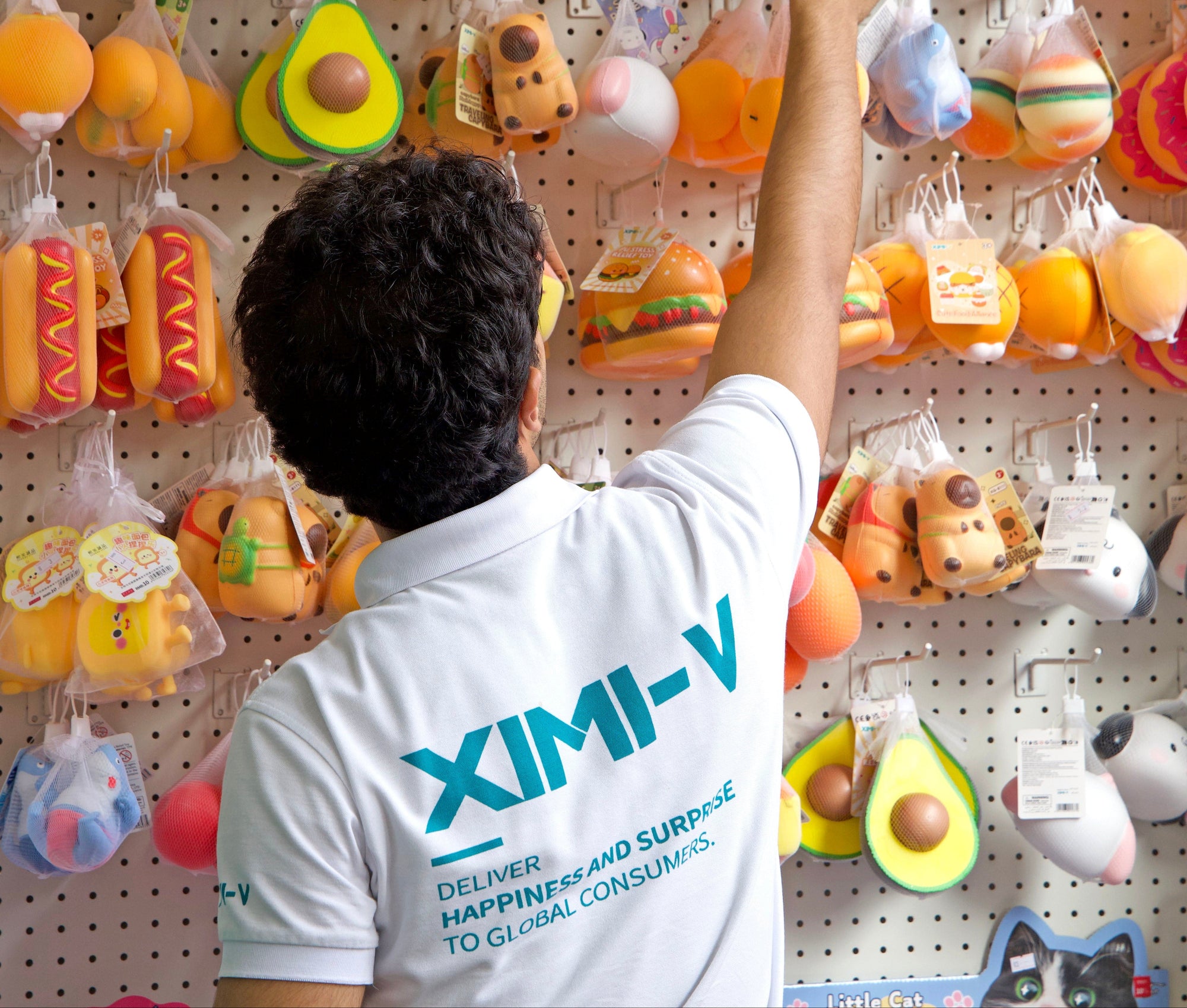 XIMI-V