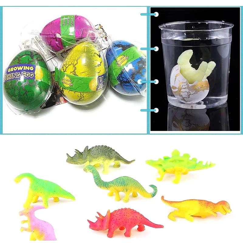Colorful Dinosaur Egg Grow in Water (12 PC)