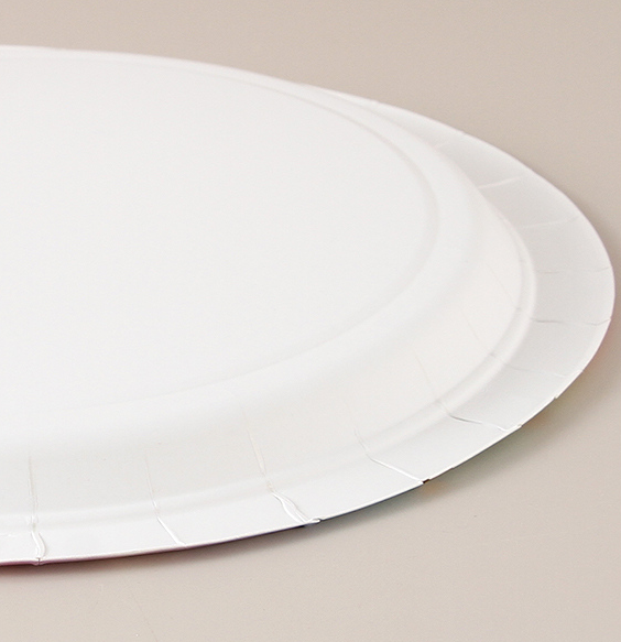 Colorful rainbow polka Dot Round paper plate (6)