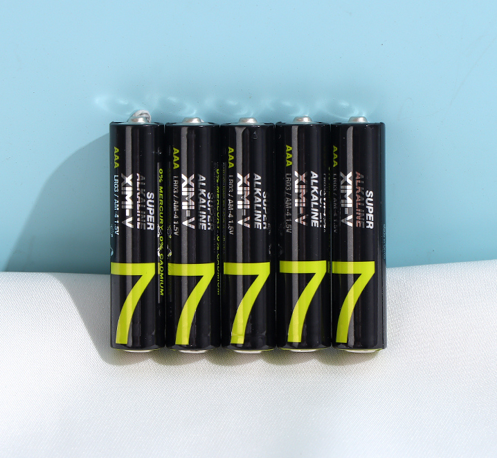 5-Piece AAA Battery(LR3)(Black and Green)