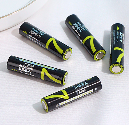 5-Piece AAA Battery(LR3)(Black and Green)
