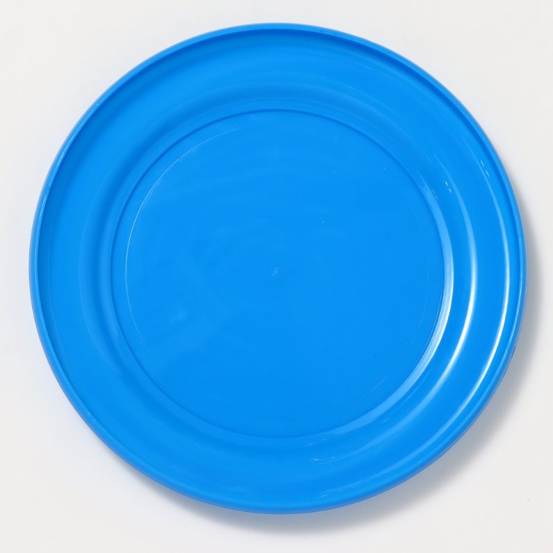 Seaworld Dolphin Flying Disc