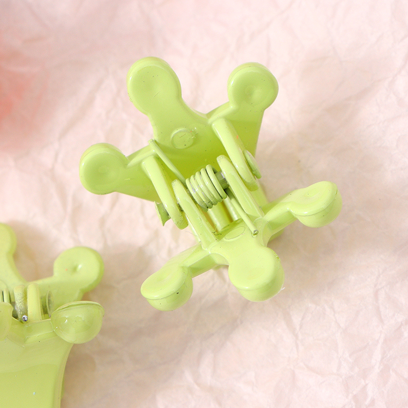 Boxed cartoon claw clip (20 PCS)