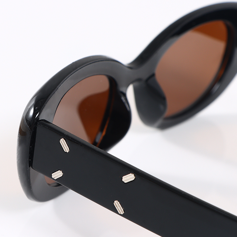 Hipster style polarized sunglasses