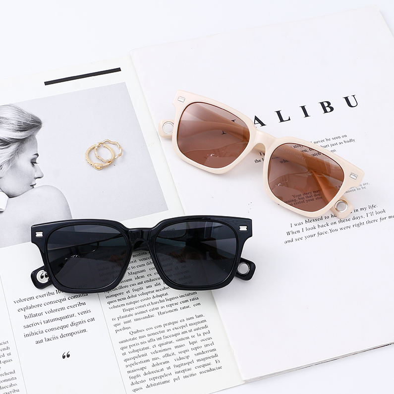 TR Temperament everything polarizing sunglasses