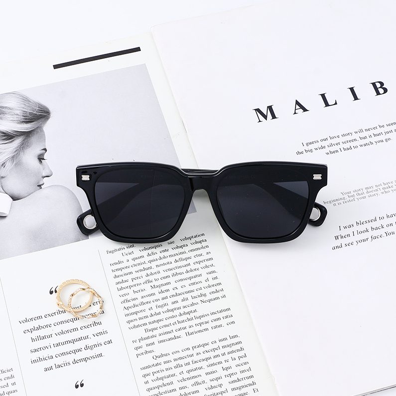 TR Temperament everything polarizing sunglasses