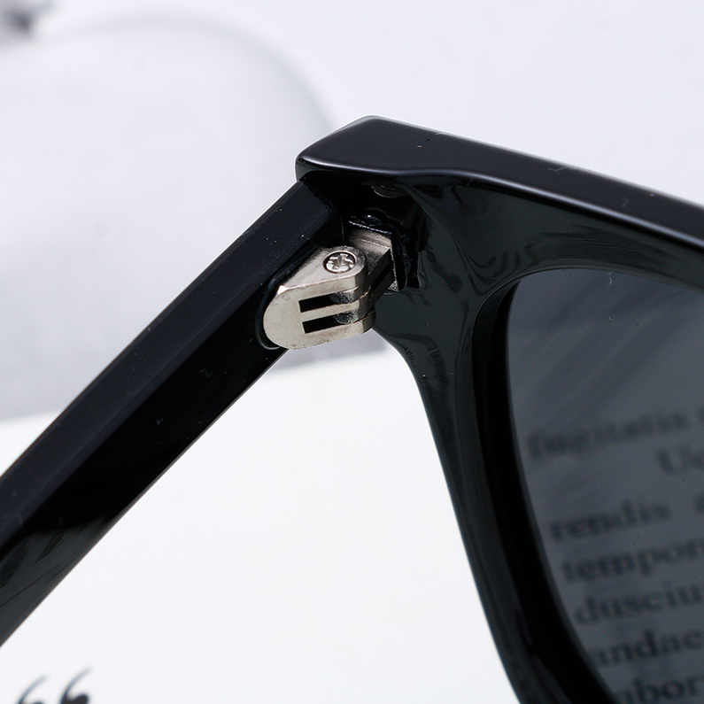 TR Temperament everything polarizing sunglasses