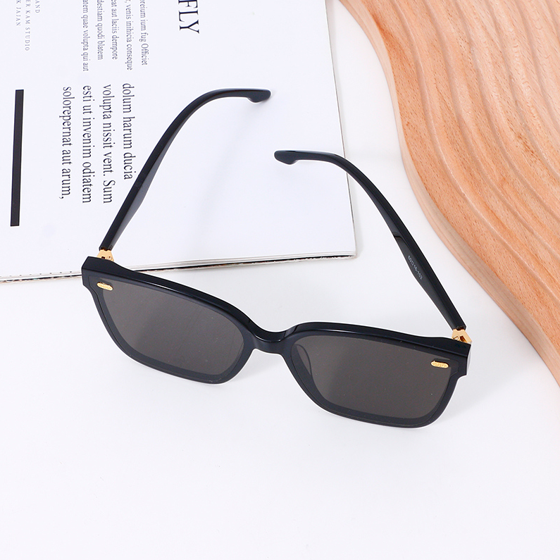 Panel Series - Large frame Fashion Nylon Sunglasses (with gl
