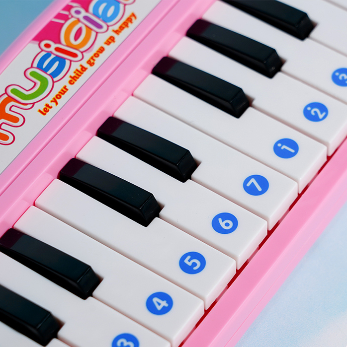 Magic Mini Electronic Organ Toy (Pink)