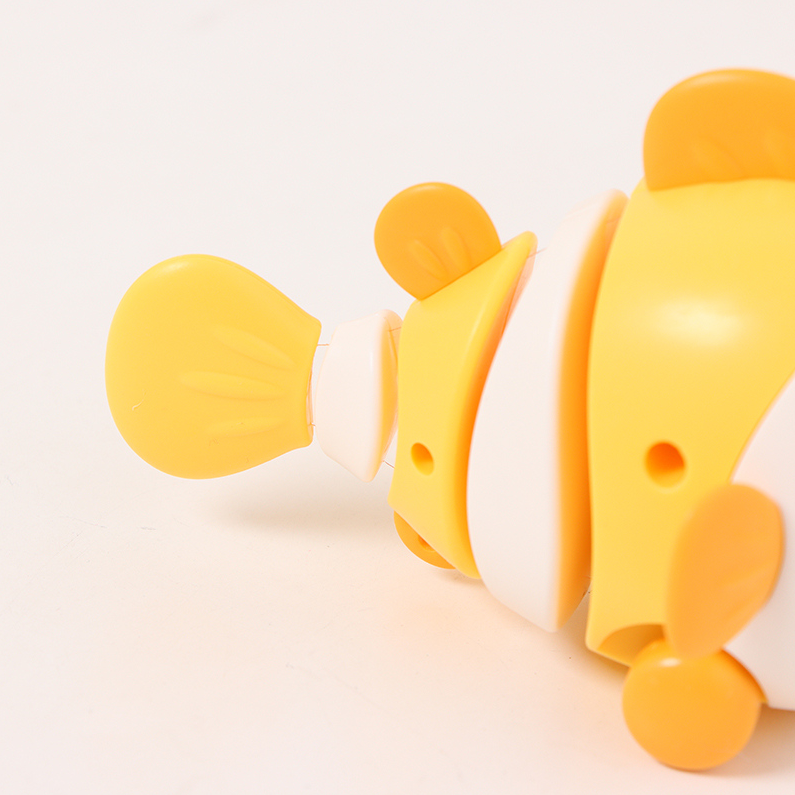 Chain clownfish