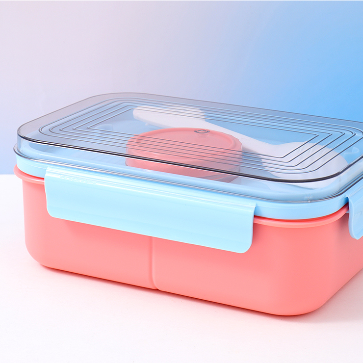 Salad Divided Lunch Box
