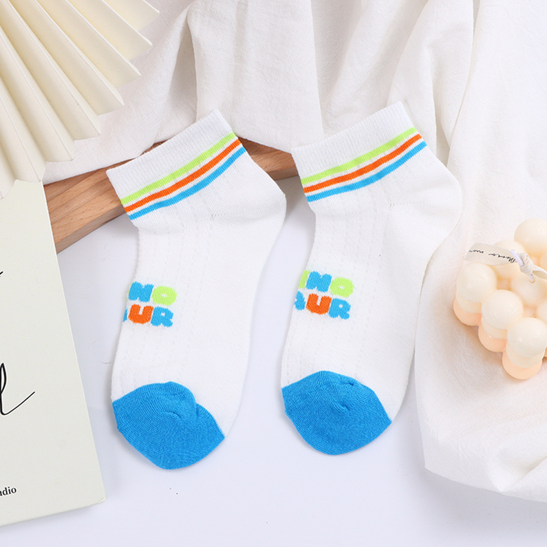 Fun Dinosaur Socks for Kids (2 pairs) (9-12 years old)