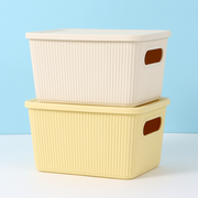 Simple Small Plastic Storage Box