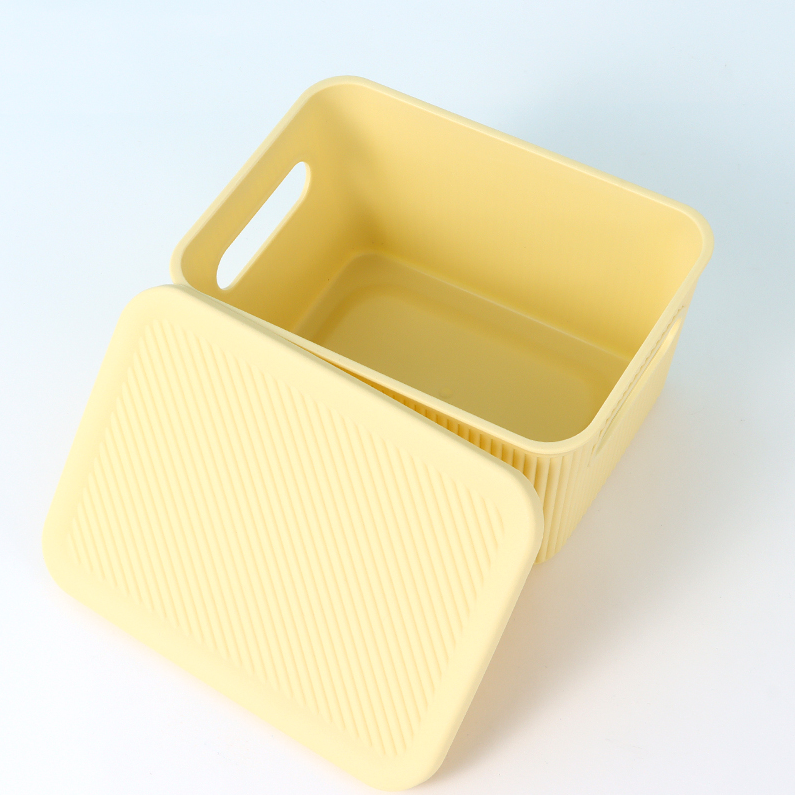 Simple Small Plastic Storage Box