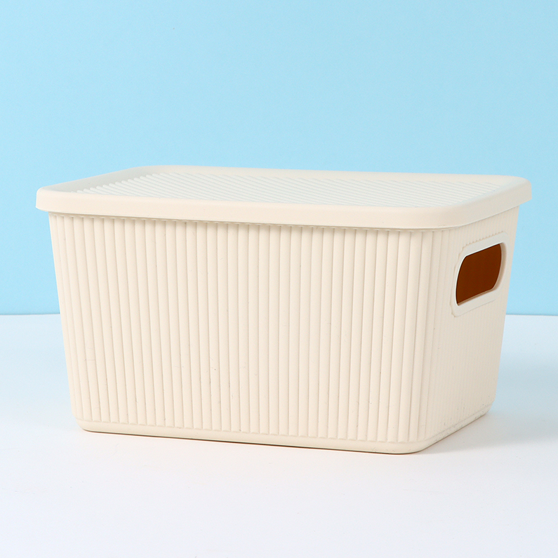 Simple Small Plastic Storage Box