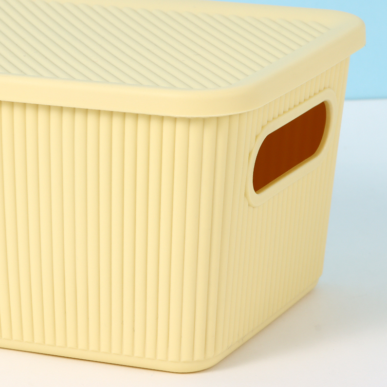 Simple Small Plastic Storage Box