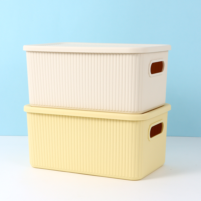 Simple Plastic Storage Box (M)