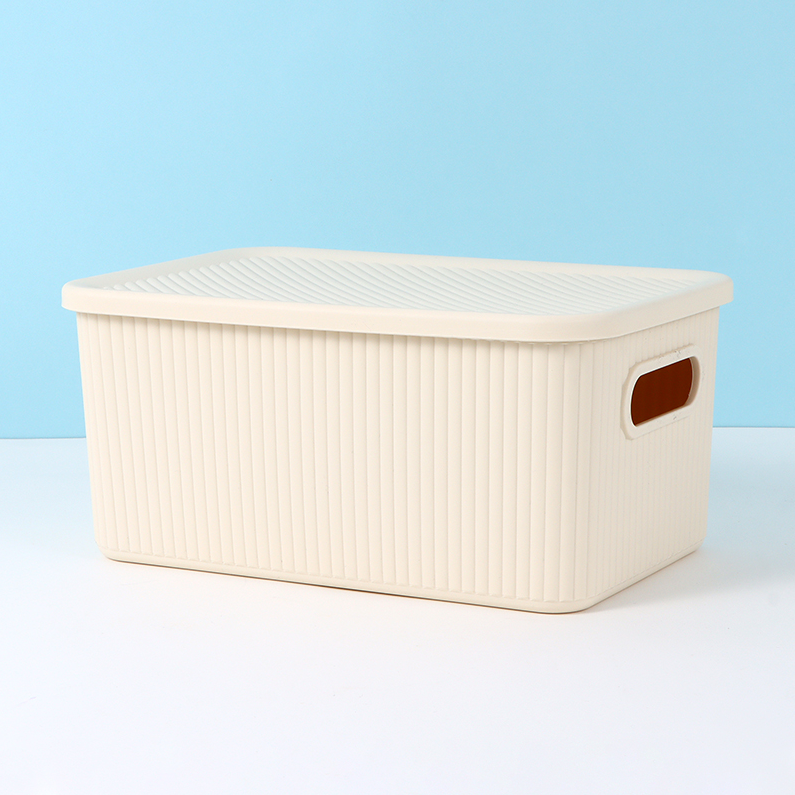 Simple Plastic Storage Box (M)