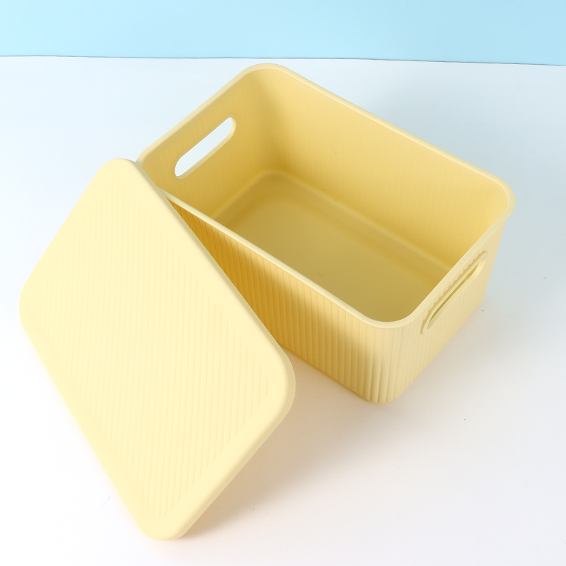 Simple Plastic Storage Box (M)