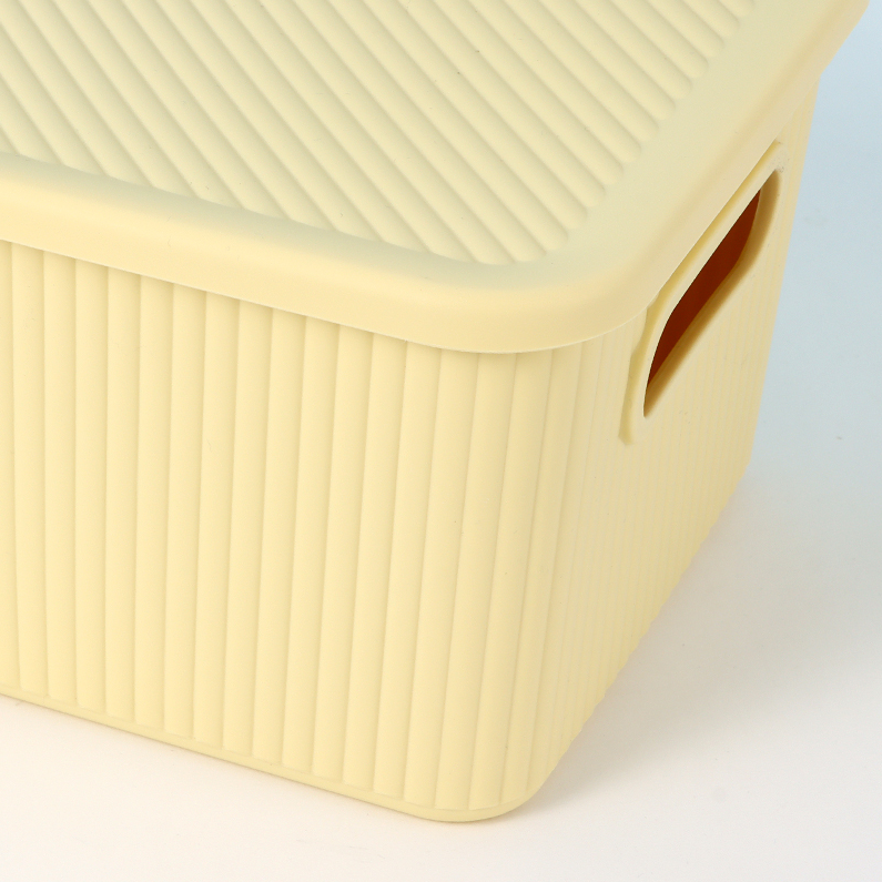 Simple Plastic Storage Box (M)