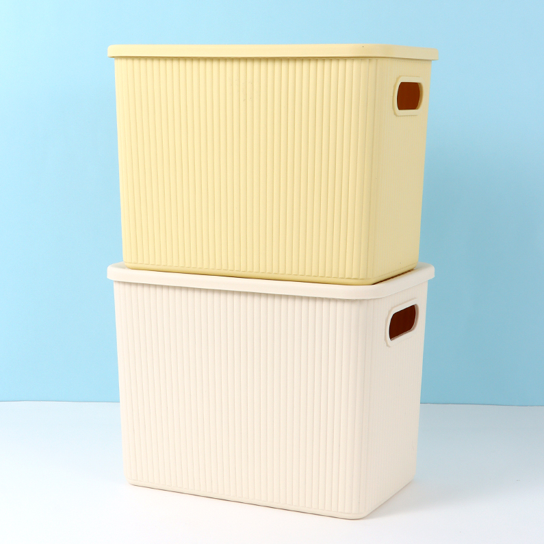Simple Plastic Storage Box (L)