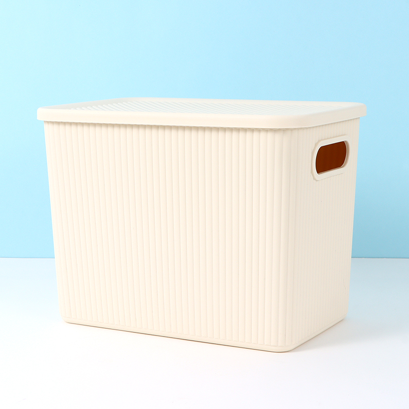 Simple Plastic Storage Box (L)
