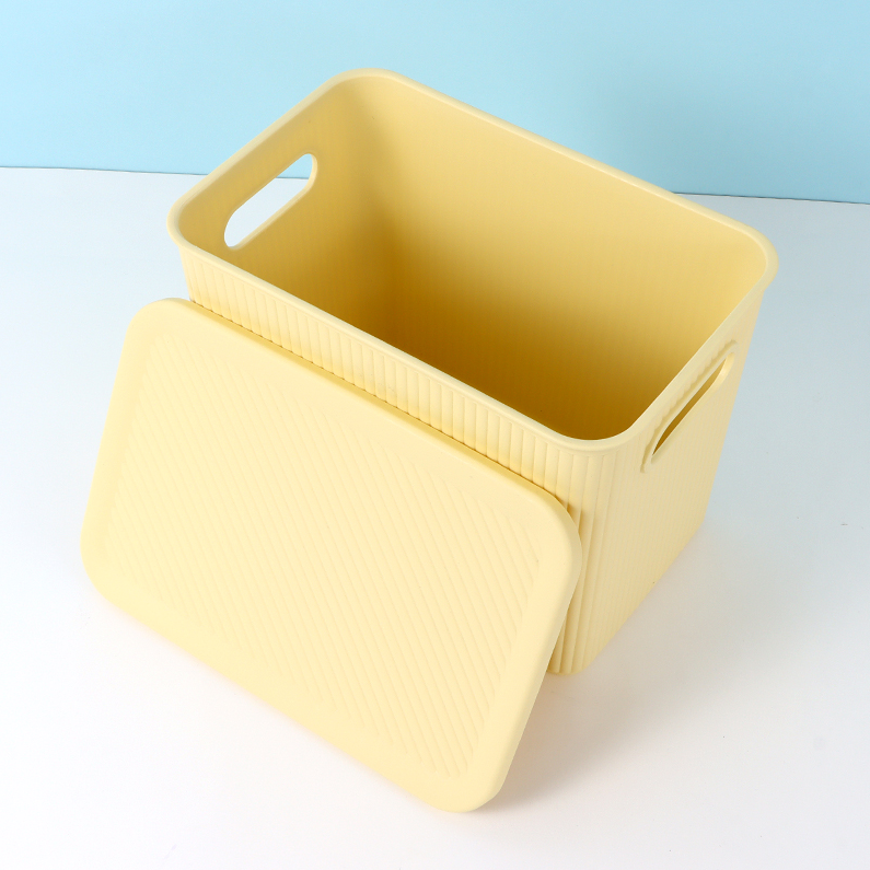 Simple Plastic Storage Box (L)