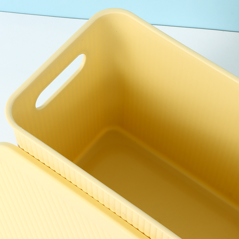 Simple Plastic Storage Box (L)