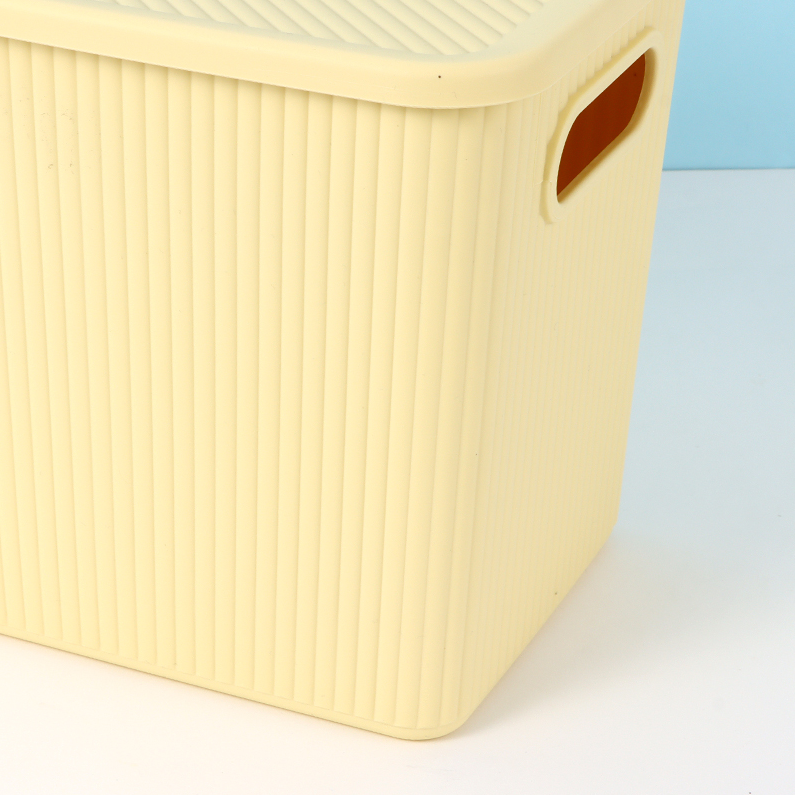 Simple Plastic Storage Box (L)
