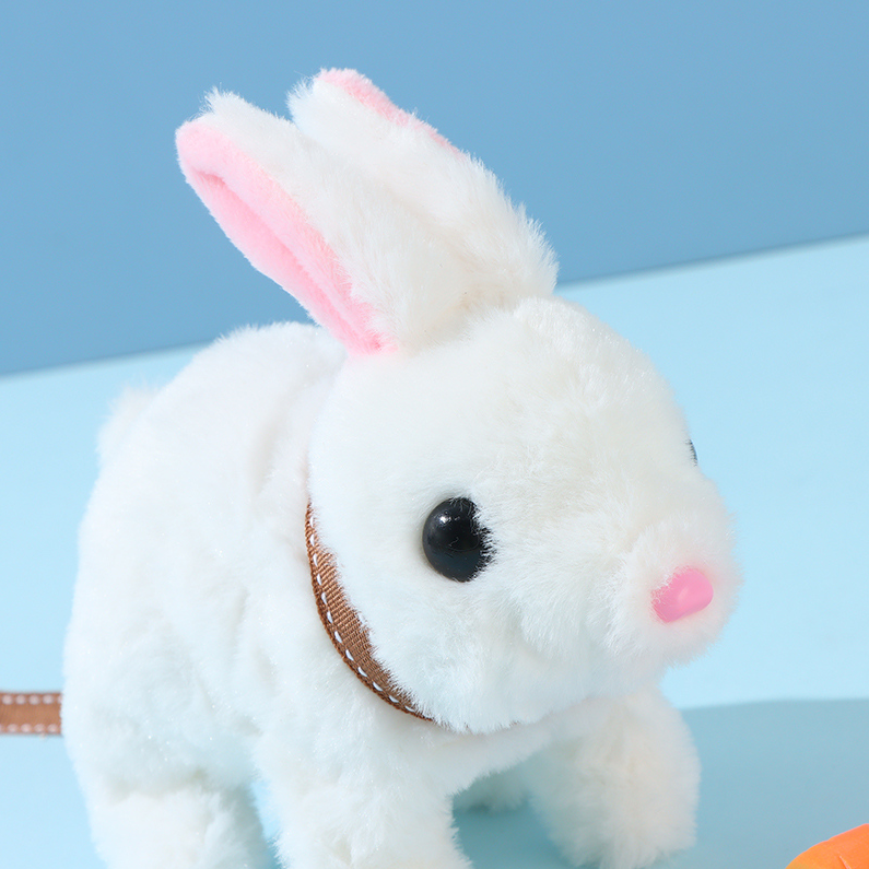 Cute pet family - Rabbits