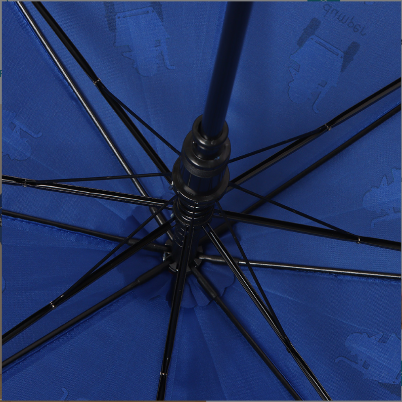 Children's fun car car discoloration children's umbrella (da