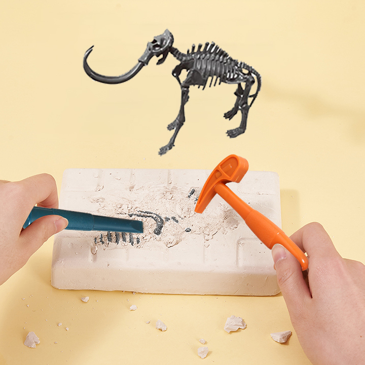 Archaeological Dinosaur Package (Mammoth) RX6807
