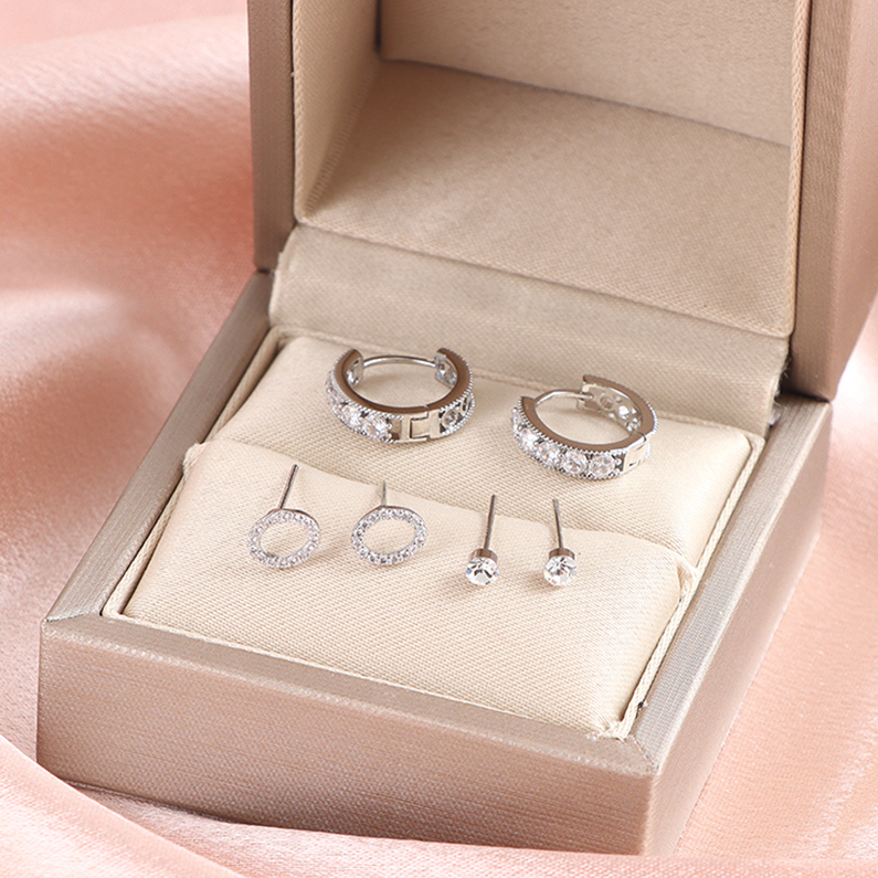Exquisite zircon earrings set