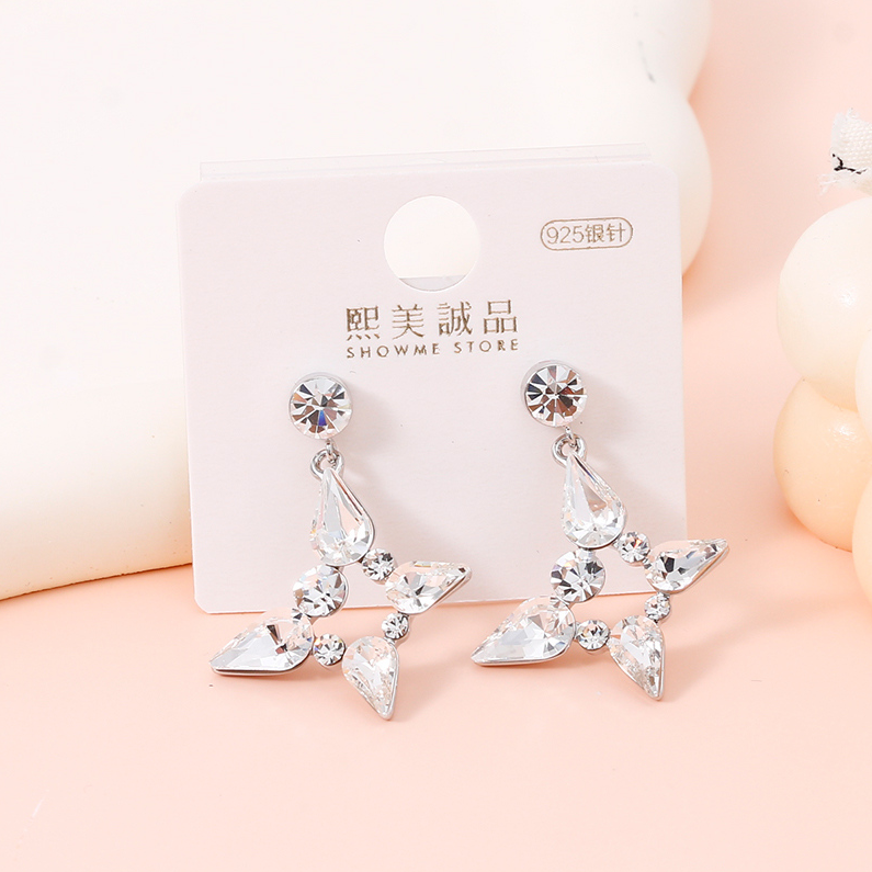 Temperament star-awned zircon earrings